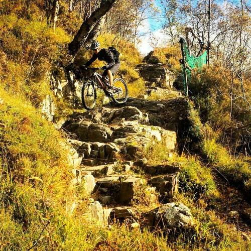 blog-pedalnorth-com:  @Regrann_App from @nadgetechcamera - The Ciaran path has some pretty technical