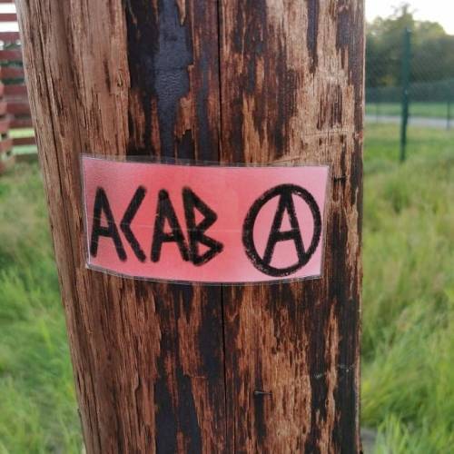 Anti-cop &amp; anti-fascist stickers seen around Alingsås, Sweden