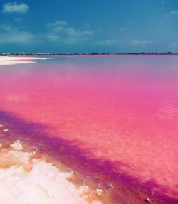 congenitaldisease:  This is Las Laguna Salada de Torrevieja, located in Spain. It’s a natural phenomenon in which the water looks pink due to a form algae. 