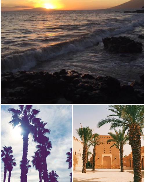 pickleshenry:sunsets in abha ❤️ #abha #saudi #saudiarabia #ksa #traveling #ontheroad #beach #mountai
