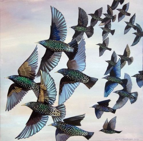 cafeinevitable:Murmuration by Jane Tomlinsonpainting