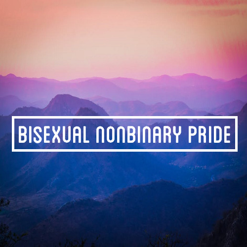 [Image Description: A photo of a mountainscape with white text on it that reads “bisexual nonb