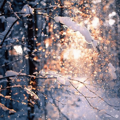 aestheticschaos: Sunny Winter aesthetic