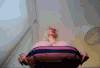 patrak-morph: