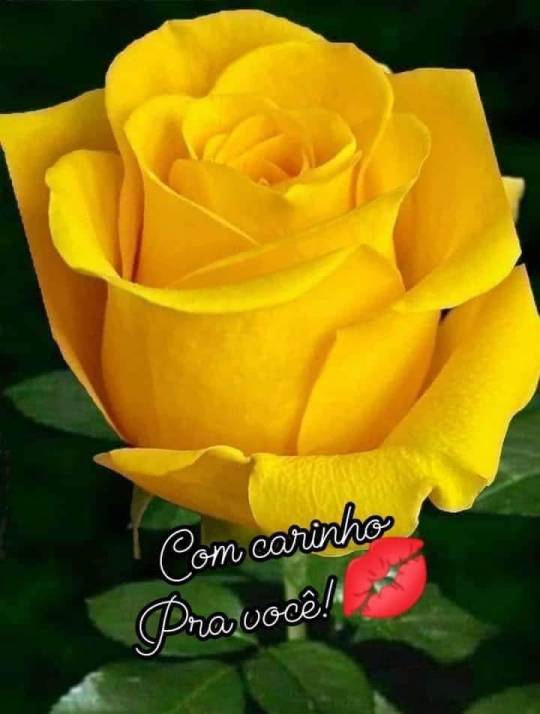 099e16cd536cf56c27f392e82684e98b25d19f1e