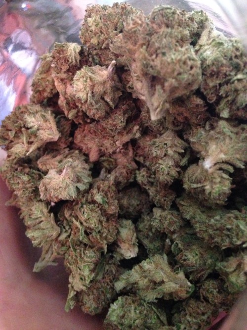 tiannajuana:  Massive jar of Sour Jack (Sour Diesel x Jack Herer) 👌👌👌💨💨💨