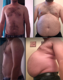 blogartus: hunky-to-chunky:  gainingidioteque: 2013 vs 2017  The forward pull of the belly  Hunky to chunky to just plain fat. 