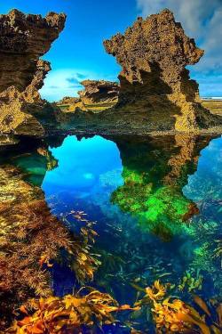 danbrownish:  Sorrento Back Beach, Australia..