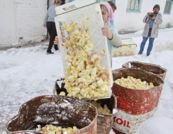 necessaryveganism:  Trash of the egg industry. Go vegan.