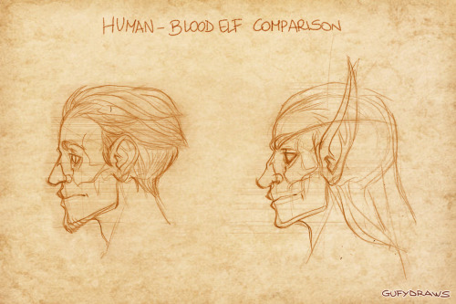 garrison-of-misfits:Part 2 of my project on the hypothetical anatomy of World of Warcraft’s Ho