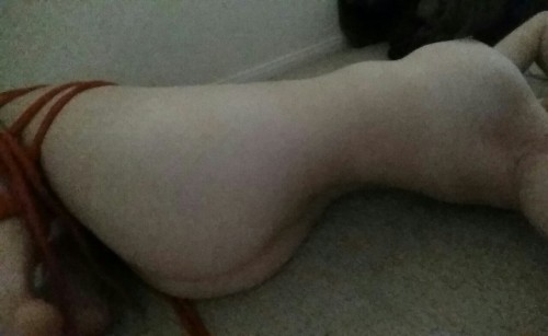 ccatastr0phe:  Sup, I tried taking an ass picture. Fail