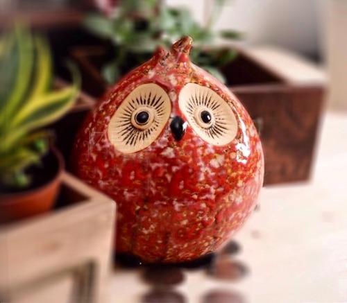 New owl added to my collection :) it’s a Japanese ceramic money box. Cute!