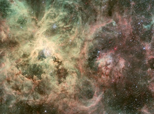 The Tarantula Nebula, also known as NGC 2070, was thought to be a star until in 1751 when Nicolas Lo