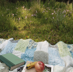 faded-blossoms: waking up early and sitting in the dewy grass 