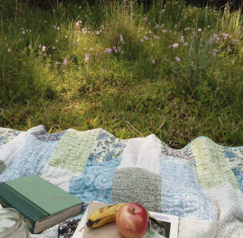 faded-blossoms: waking up early and sitting in the dewy grass