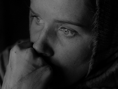 seijun-suzuki: The art of cinematographer Sven Nykvist.