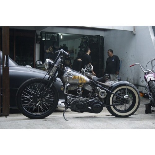 Jack Harley Breizh