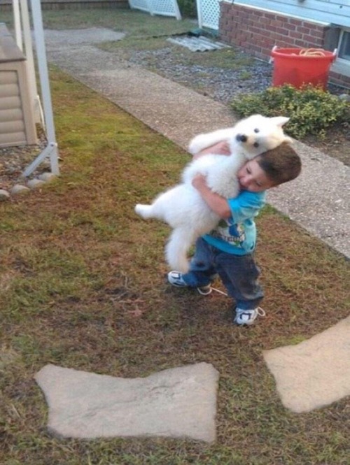 vodkaslumber:crydaisy:blshiit:BEFORE AND AFTERThe ratio of dog to boy stayed constant that’s so cute