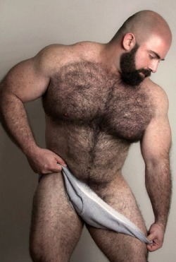 bears daddies grandsome-one