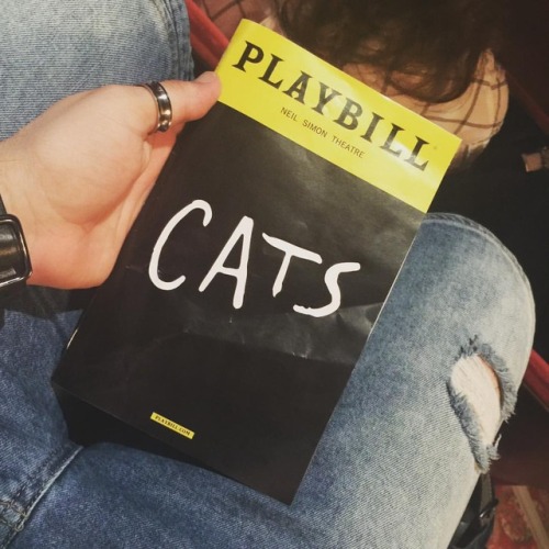 meow meow #cats #broadway #nightout #pussy #gaysnightout #thesecatsaredancing #yas