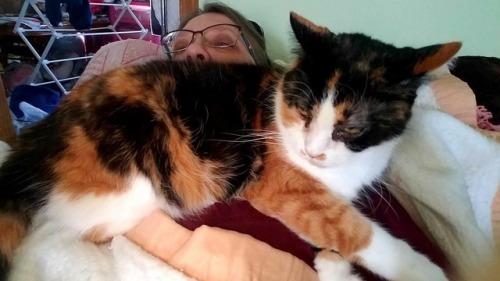 Sick mom getting healing snuggles from the heavy cat who doesn’t like the sound of the camera.