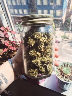 p0tlandia:  A full jar is a happy jar 😍