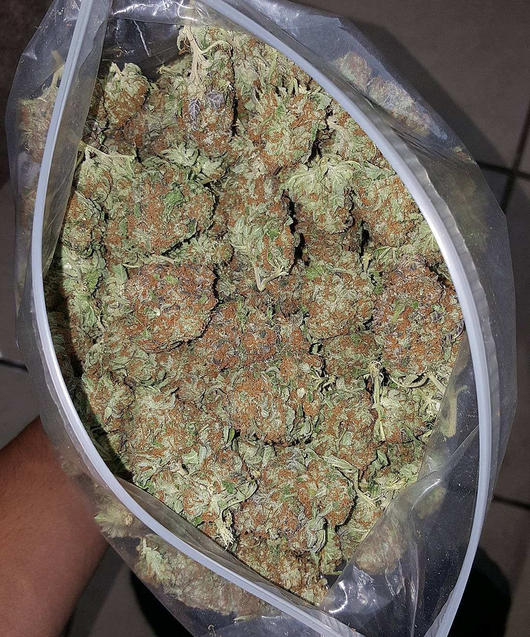 weedporndaily:  by @siraynot
