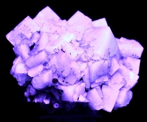 mineralists:  Fluorescent blue and green FluoriteCubic, gemmy crystals of fluorite