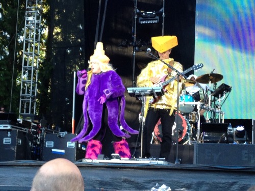 belovedtinymonsters:More pics from my phone!