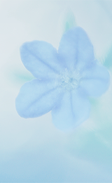 ryeou:  (photography by happypastel~) 