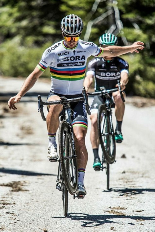 gentlemandomestique:Sagan Saturday: Fun in the sun, California 17. Chris Auld