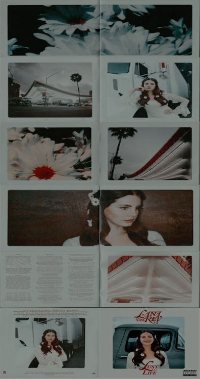 ✔ Lana Del Rey Lockscreen feita por @sitemodelsaesthetic​✔ se pegar credite//reblogue✔ não roube//us