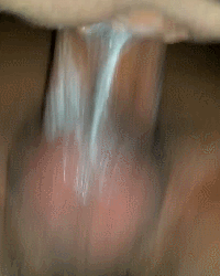Randy's Porn GIFs