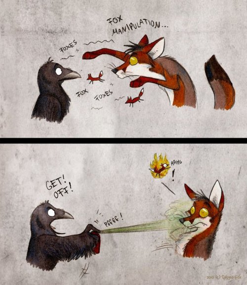 twizz-doodles:  azula-griffon:  verysaltyonions:  ask-ace-n-angel:  FOXES!!!  What  Hnnnn i remember reading these when i was 11 <33  Culpeo-fox senpai  YES I REMEMBER THESE  OMG Culpeo~ >w<