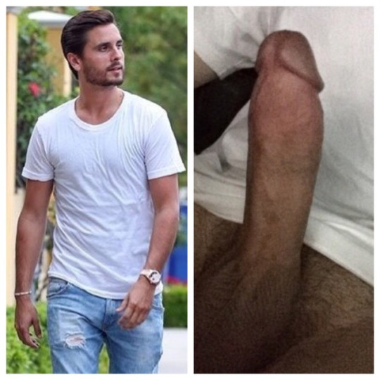 celebrity-dongs:  Scott Disick’s impressive tool.