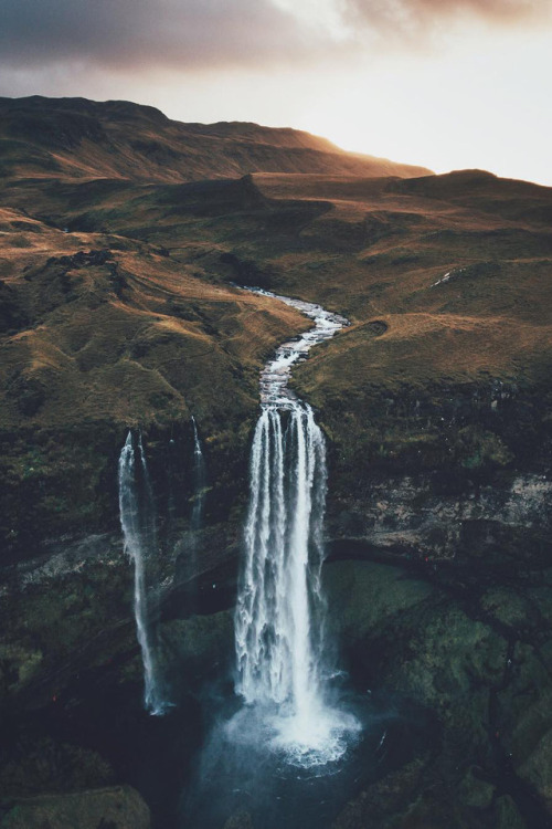 naturepersonworld:by lennert