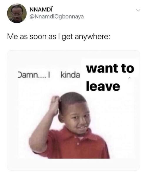 The-Memedaddy:  Meirl