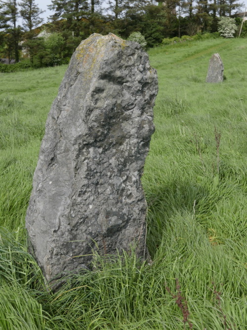 Llangefni Eisteddfod Stone Circle, Anglesey, North Wales, 13.5.17. A modern stone circle that is now