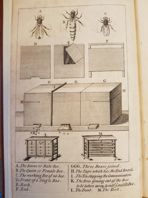From: White, Stephen, 1696 or 1697-. Collateral bee-boxes, or, A new, easy, and advantageous method 