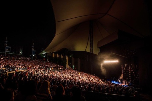 jakecurranguitar: Great Californian gigs.