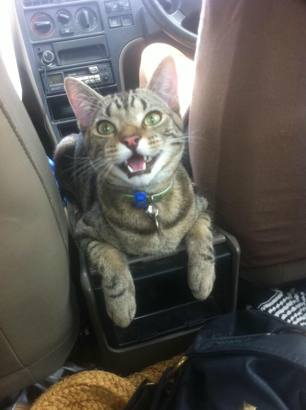 And we were worried he wouldn’t like the car ride