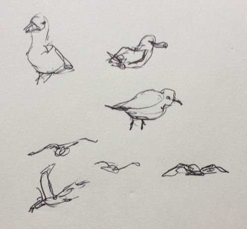 Quick Sketches At The Beach.