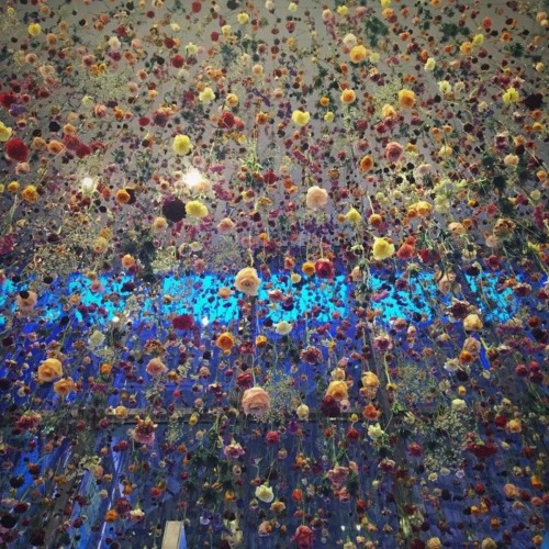 Sex red-lipstick:Rebecca Louise Law (British, pictures