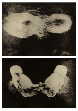 annaxmalina:  {2o12} severed hands pointing homeward to the atomic ancestry (prints) (the bottom one was used as cover for reproacher’s nothing to save album.) 