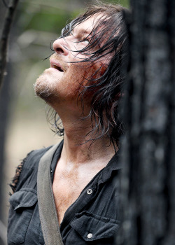 reedusnorman:  Daryl Dixon in The Walking