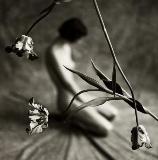 woman-in-art:Phot. Mark Arbeit(Out of Focus Series)
