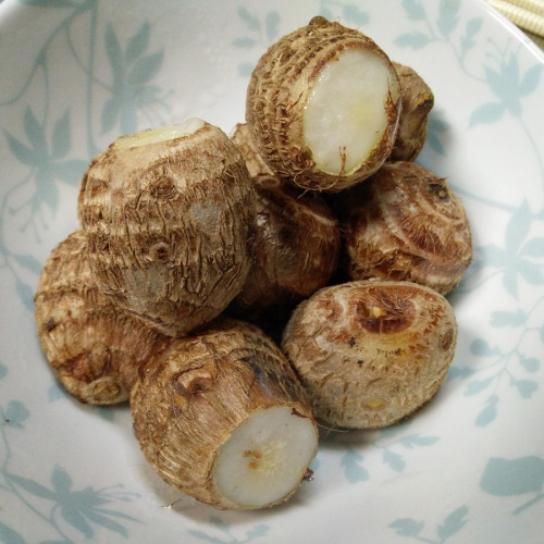 Steamed Satoimo is a perfect snack with some salt.