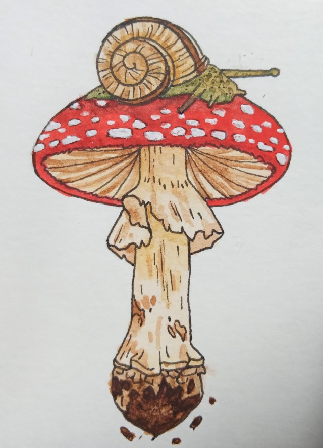 Indie Mushroom Drawing : Indie Drawings Mushroom Drawing | Carisca ...