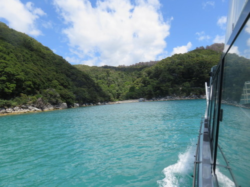 chesterlampkin: Abel Tasman, #NewZealand. Feb. 2017