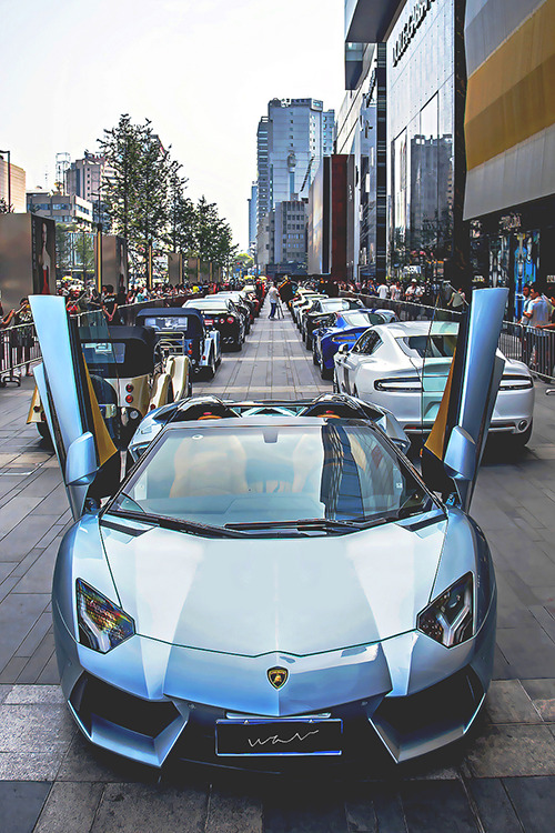 wearevanity:  19 Club - Aventador | WAV 